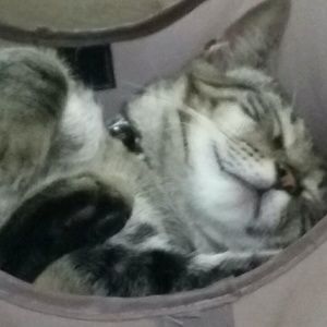 Meet your Posher, Ari